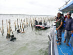 Bongkar Pagar Laut 3 Pasukan Elite , TNI AL: Sisa 5,26 Km Lagi!