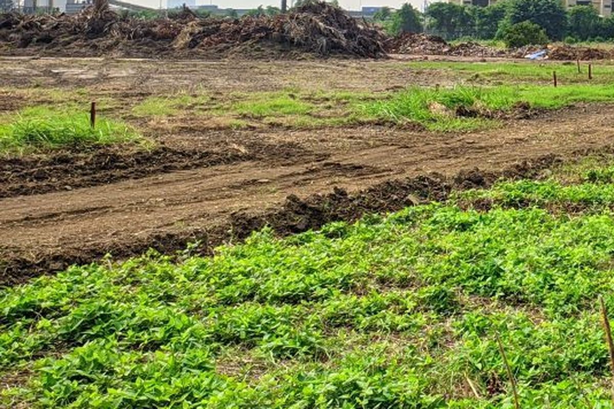 Ormas Minta Rp5 M agar Tarik Massa dari Lahan BMKG