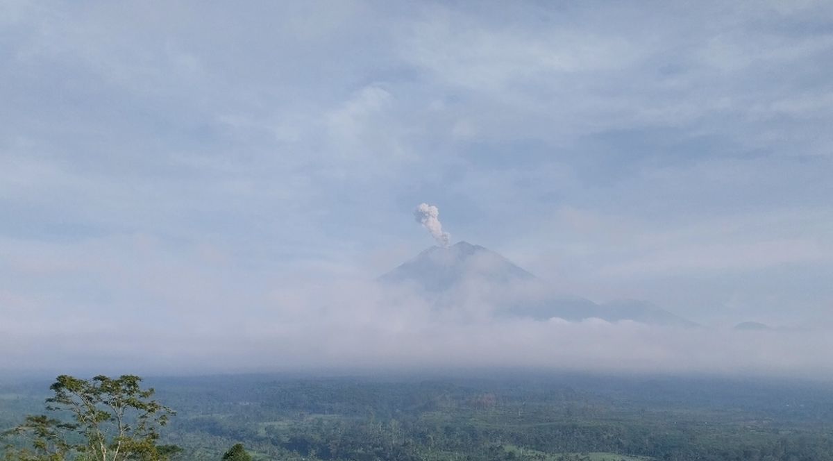 Gunung Semeru Erupsi 3 Kali, Kolom Abu Capai 800 Meter