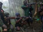 Polisi Ditembak KKB di RSUD Wamena Usai Antar Korban