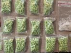 Polisi Gerebek Pengedar Ekstasi, 1.360 Butir Disita
