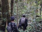 OPM Wendanus Murib Tewas Saat Baku Tembak di Papua