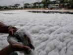Limbah Busa Cemari Kali BKT Marunda, Ikan Menghilang