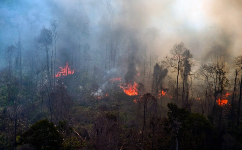 BNPB: Karhutla Meluas, Diduga akibat Rokok dan Bakar Lahan