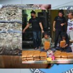 BNN Sita 63 Kg Ganja dari Atap Gedung PKM UIN Suska Riau