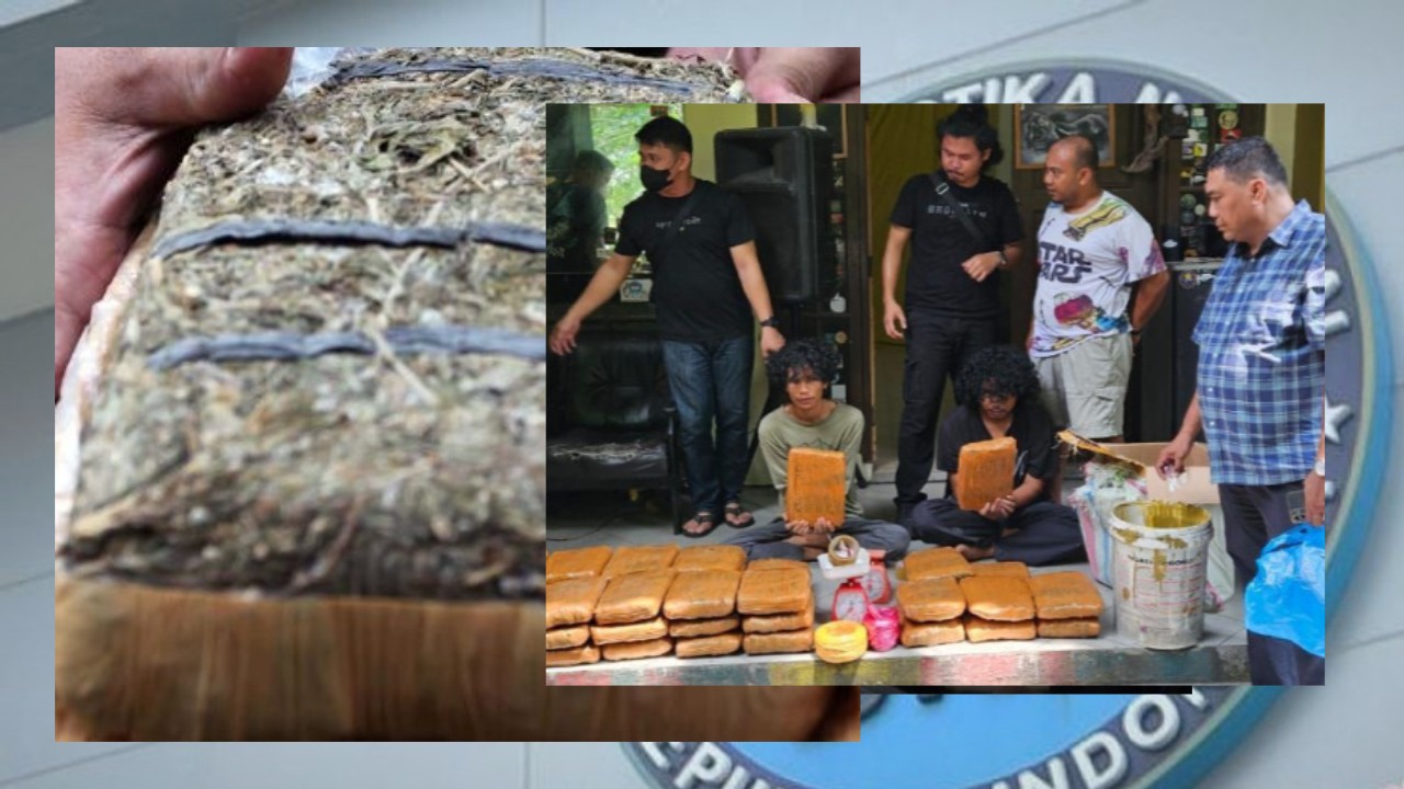 BNN Sita 63 Kg Ganja dari Atap Gedung PKM UIN Suska Riau
