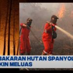 Spanyol Kebakaran Hutan, 20 Titik Api Meluas dan Ribuan Tentara Dikerahkan