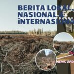 Deforestasi Global China Dituding Jadi Pemicu Utamanya
