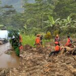 BNPB Gerak Cepat Atasi Longsor dan Buka Akses di Sumut