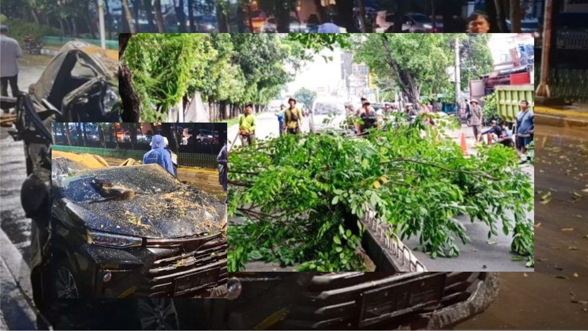 DKI Intensifkan Pemangkasan Pohon Besar Jelang Musim Hujan