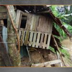 BNPB Ungkap Hujan Ekstrem Bireuen Picu Banjir Besar