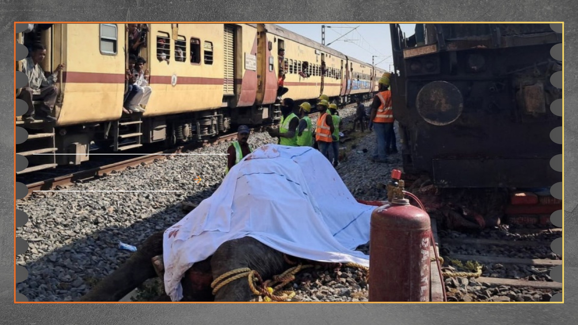 Kereta Ekspres India Tewaskan 7 Gajah di Assam