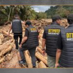 Bareskrim Tetapkan Tersangka Individu Kasus Kayu Gelondongan Sumut