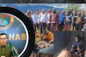 TNI Ungkap Kronologi Tewasnya Ibu Hamil di Intan Jaya